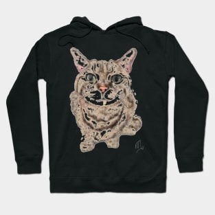 Green Eyed Fluffy Kittie Cat Hoodie